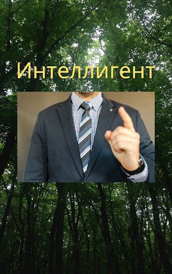 Обложка книги «Интеллигент»