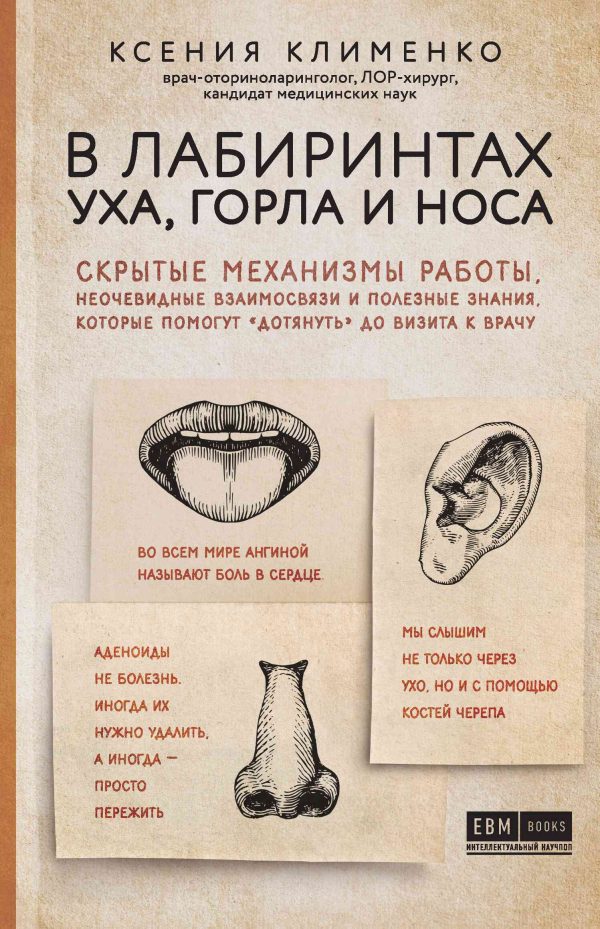Обложка книги «В лабиринтах уха, горла и носа. Скрытые механизмы работы, неочевидные взаимосвязи и полезные знания, которые помогут «дотянуть» до визита к врачу»