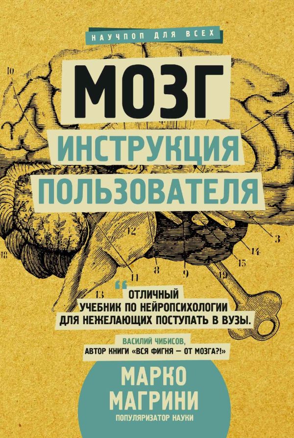 Обложка книги «Мозг. Инструкция пользователя»