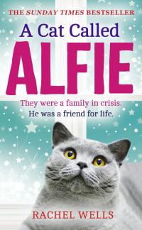 Обложка книги «A Cat Called Alfie»