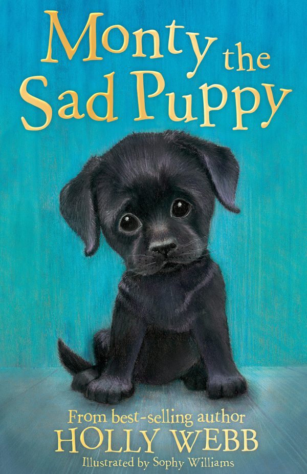 Обложка книги «Monty the Sad Puppy»