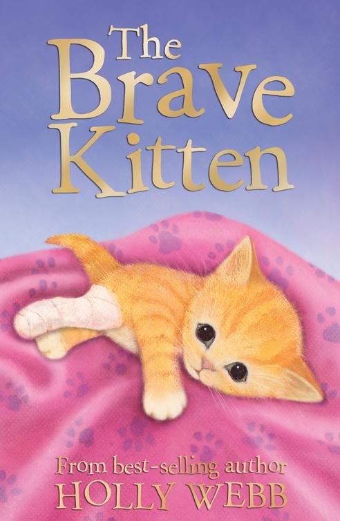 Обложка книги «The Brave Kitten»