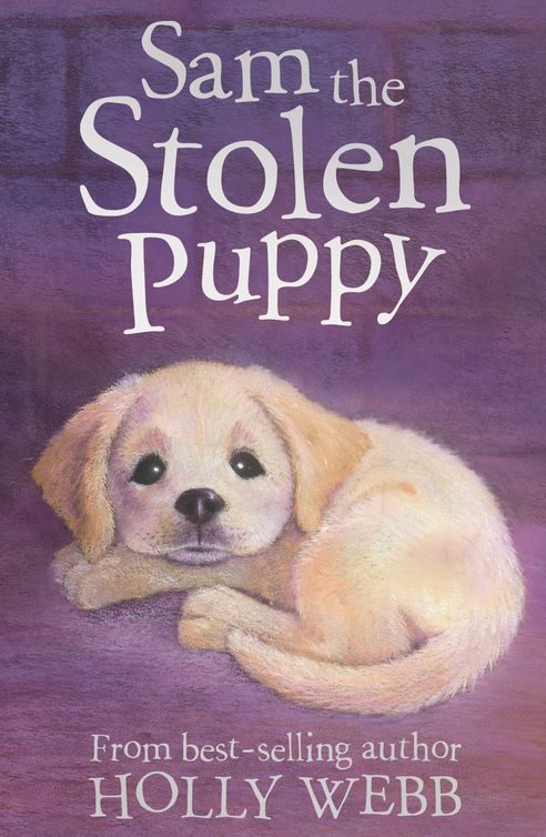 Обложка книги «Sam the Stolen Puppy»