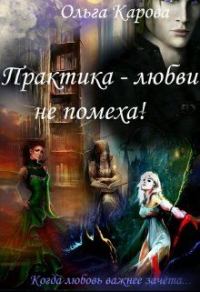 Обложка книги «Практика — любви не помеха!»