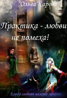 Обложка книги «Практика — любви не помеха!»
