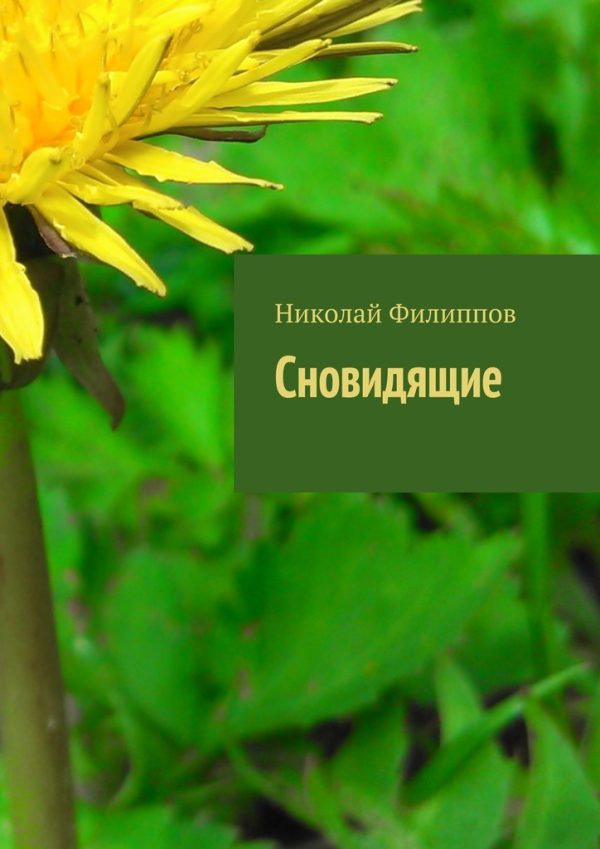 Обложка книги «Сновидящие»
