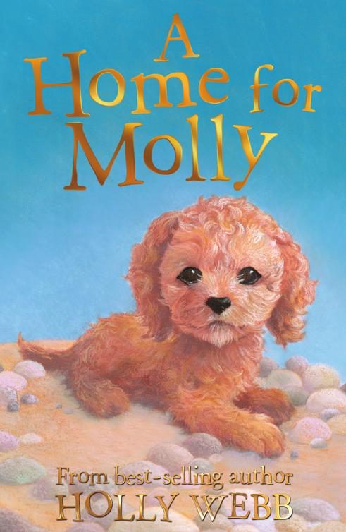 Обложка книги «A Home for Molly»