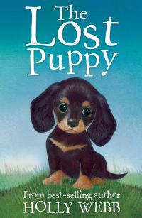 Обложка книги «The Lost Puppy»