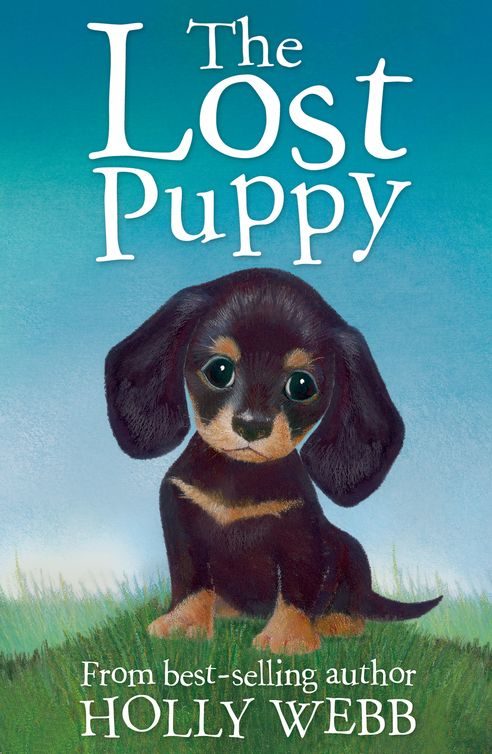 Обложка книги «The Lost Puppy»