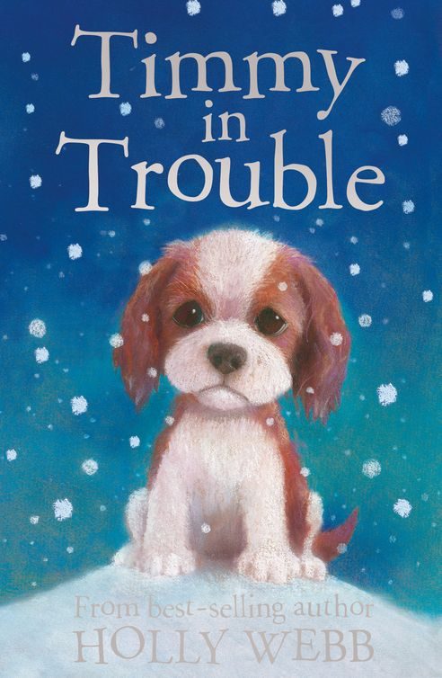 Обложка книги «Timmy in Trouble»
