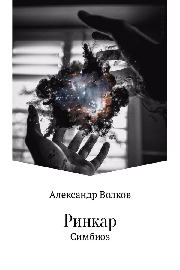 Обложка книги «Ринкар. Симбиоз»