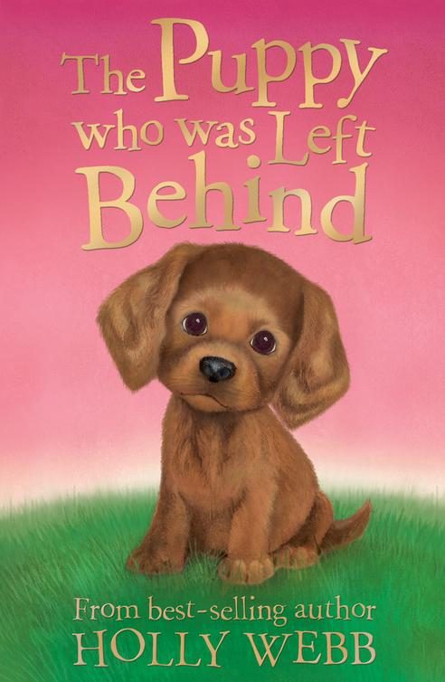 Обложка книги «The Puppy who was Left Behind»