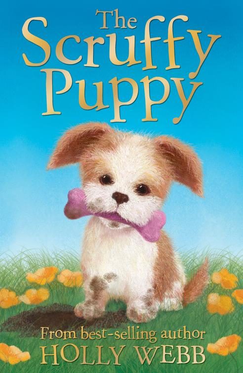 Обложка книги «The Scruffy Puppy»