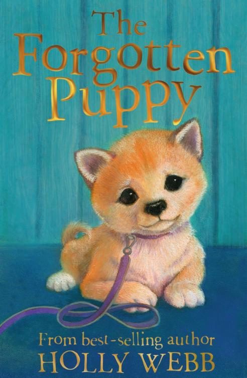 Обложка книги «The Forgotten Puppy»