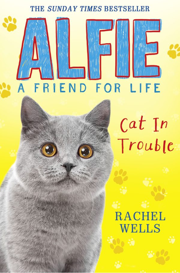 Обложка книги «Alfie Cat In Trouble»