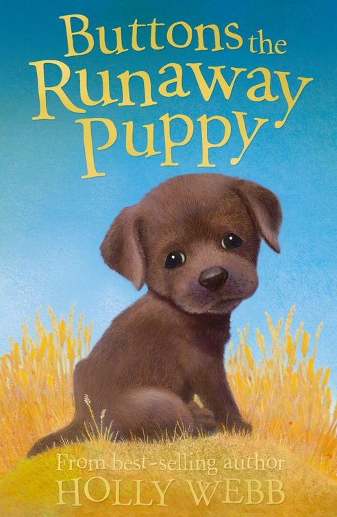 Обложка книги «Buttons the Runaway Puppy»