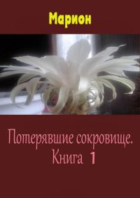Обложка книги «Потерявшие сокровище. Книга 1»