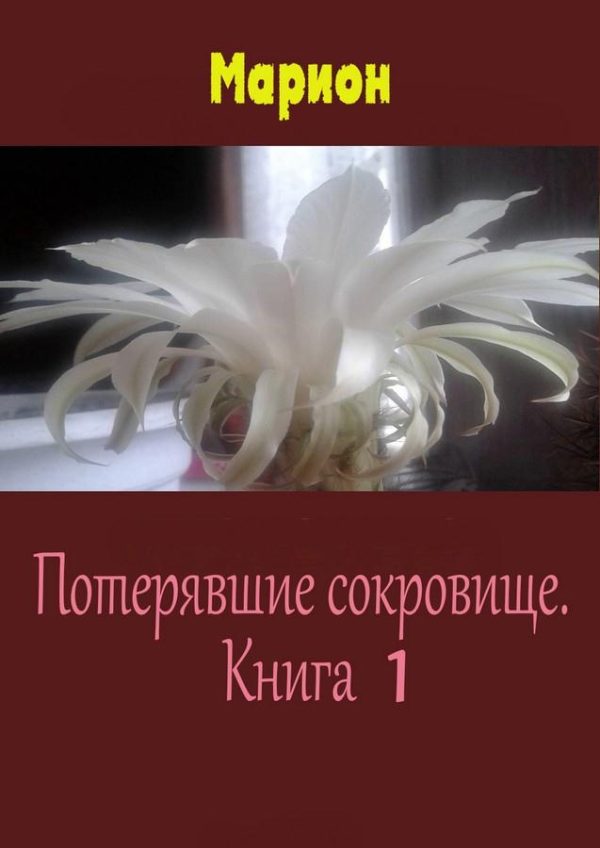 Обложка книги «Потерявшие сокровище. Книга 1»