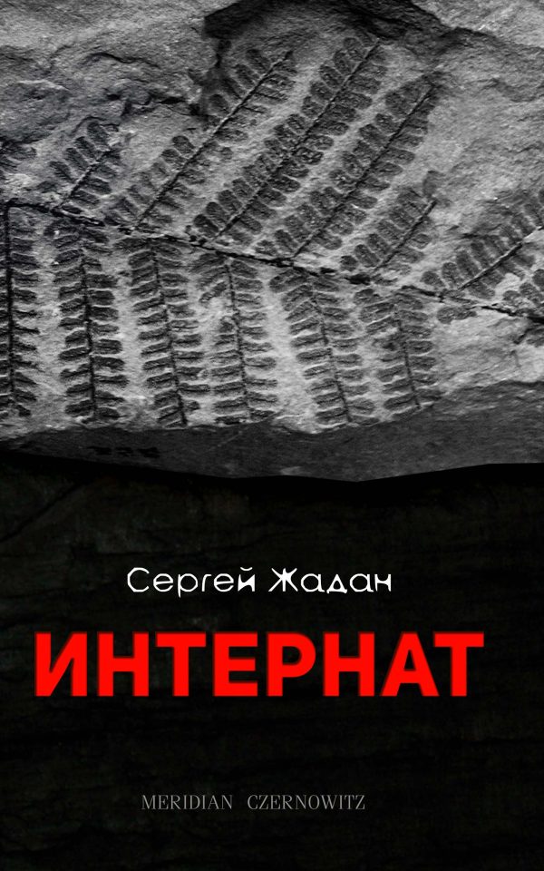 Обложка книги «Интернат»