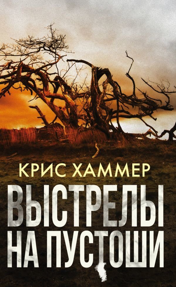 Обложка книги «Выстрелы на пустоши»