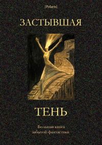 Обложка книги «Застывшая тень»