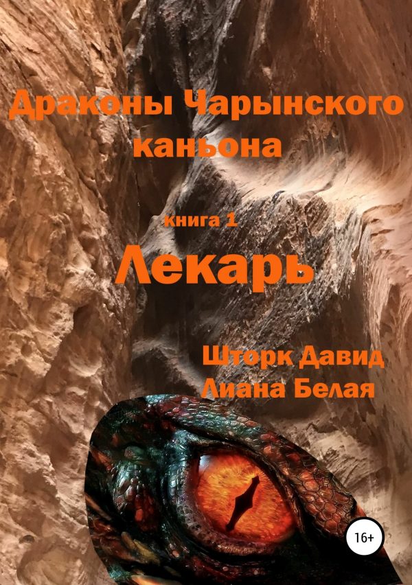 Обложка книги «Драконы Чарынского каньона. Книга 1. Лекарь»