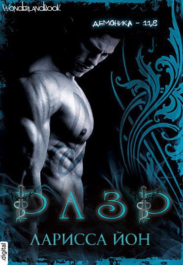 Обложка книги «Разр»