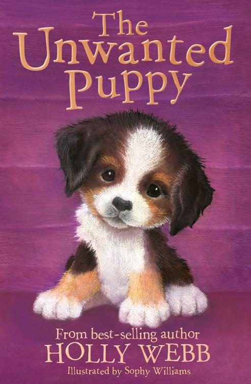 Обложка книги «The Unwanted Puppy»