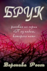Обложка книги «Брук»