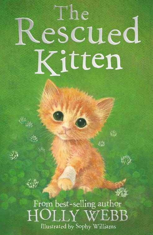 Обложка книги «The Rescued Kitten»