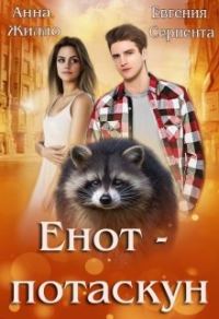 Обложка книги «Енот-потаскун»