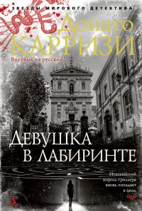 Обложка книги «Девушка в лабиринте»