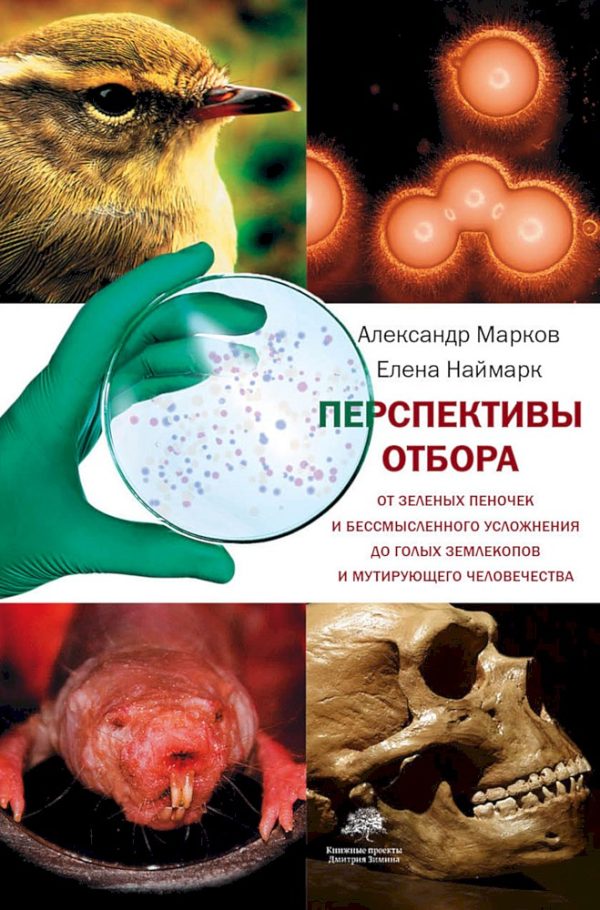Обложка книги «Перспективы отбора. От зелёных пеночек и бессмысленного усложнения до голых землекопов и мутирующего человечества»