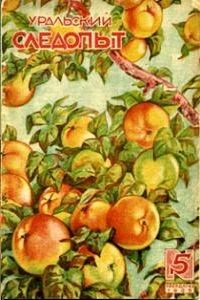 Обложка книги «Механикус Ползунов»
