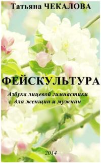 Обложка книги «Фейскультура»