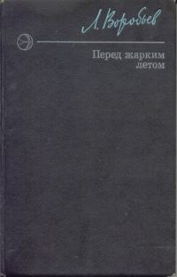 Обложка книги «Перед жарким летом»