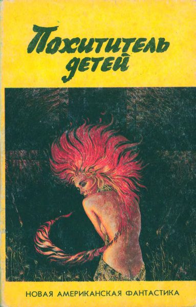 Обложка книги «Похититель детей»