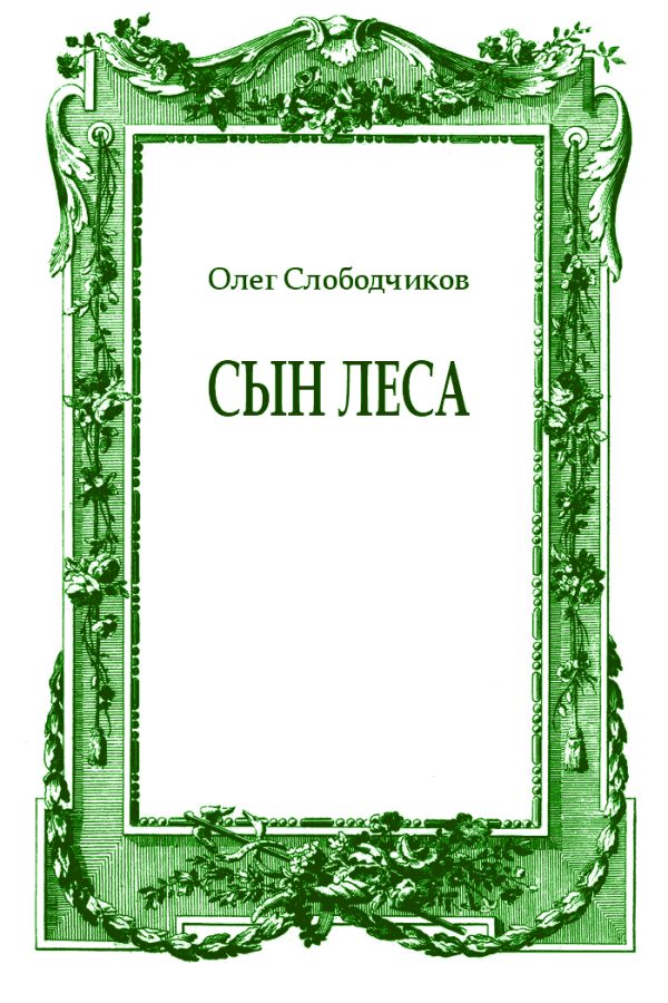 Обложка книги «Сын леса»