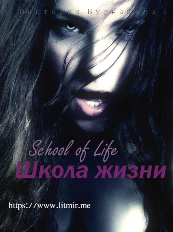 Обложка книги «Школа жизни (СИ)»