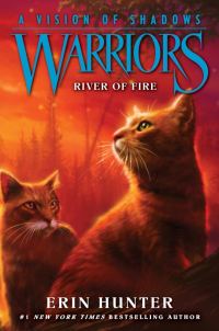 Обложка книги «River Of Fire»