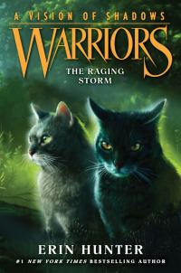 Обложка книги «The Raging Storm»