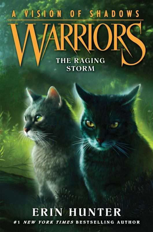 Обложка книги «The Raging Storm»