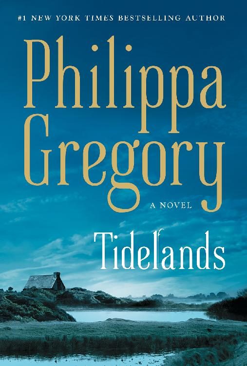 Обложка книги «Tidelands»