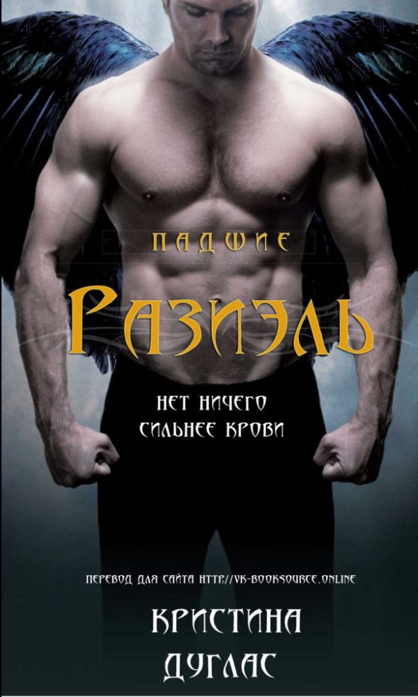 Обложка книги «Разиэль»
