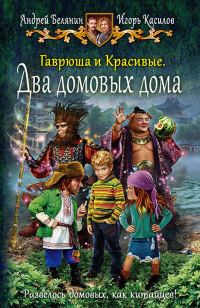 Обложка книги «Два домовых дома»
