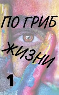 Обложка книги «По гриб жизни»