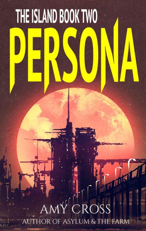 Обложка книги «Persona»