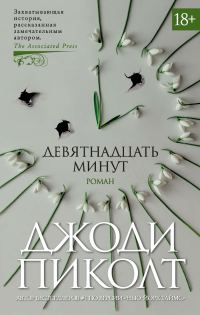 Обложка книги «Девятнадцать минут»