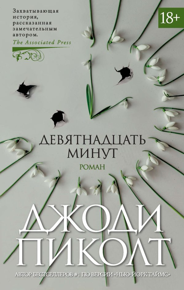 Обложка книги «Девятнадцать минут»