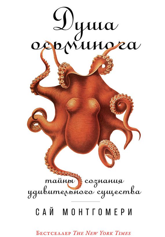 Обложка книги «Душа осьминога»